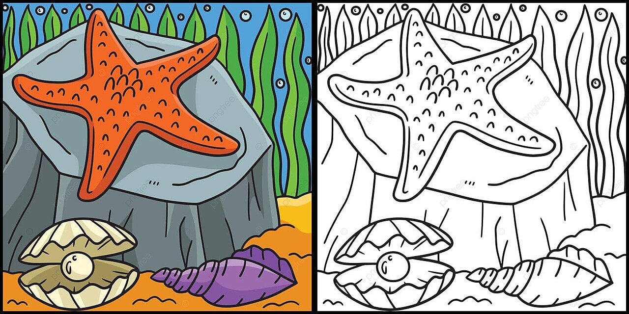 Sea star coloring page colored illustration doodle picture book vector doodle picture book png and vector with transparent background for free download