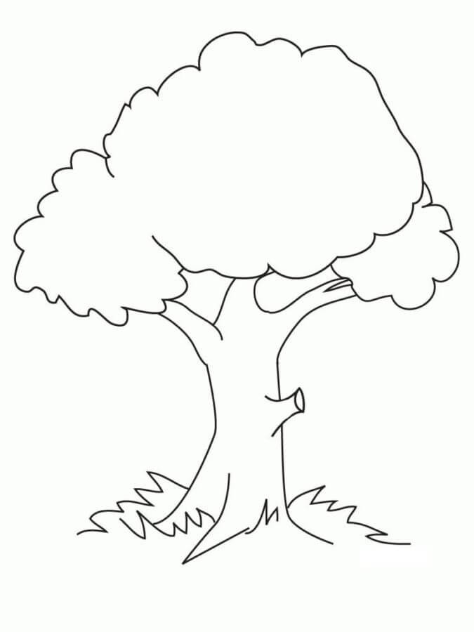 Frame cut on a tree coloring page