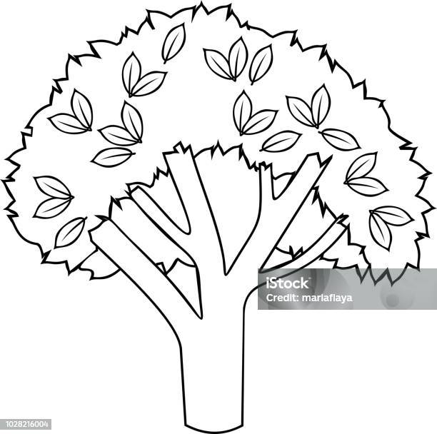 Coloring page with cartoon deciduous tree stock illustration