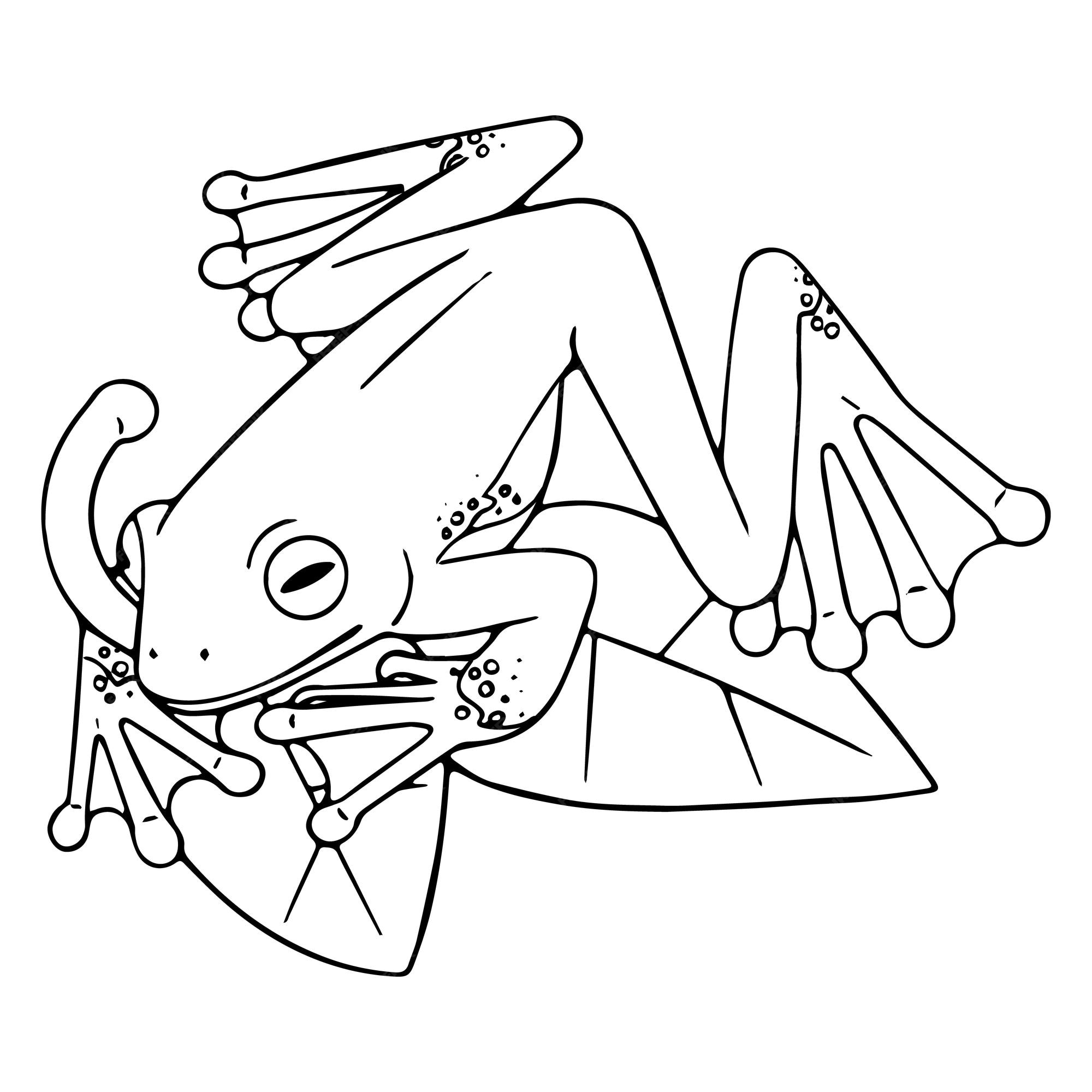 Premium vector outline tree frog sits on leaves rainforest froggy exotic toad show long tongue contour amphibian animal wild fauna coloring book lineart isolated vector illustration on white background
