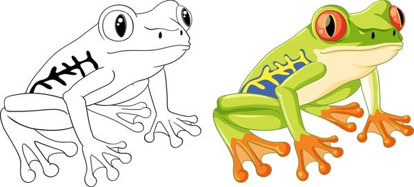 Thousand cartoon frog illustration outline vector royalty