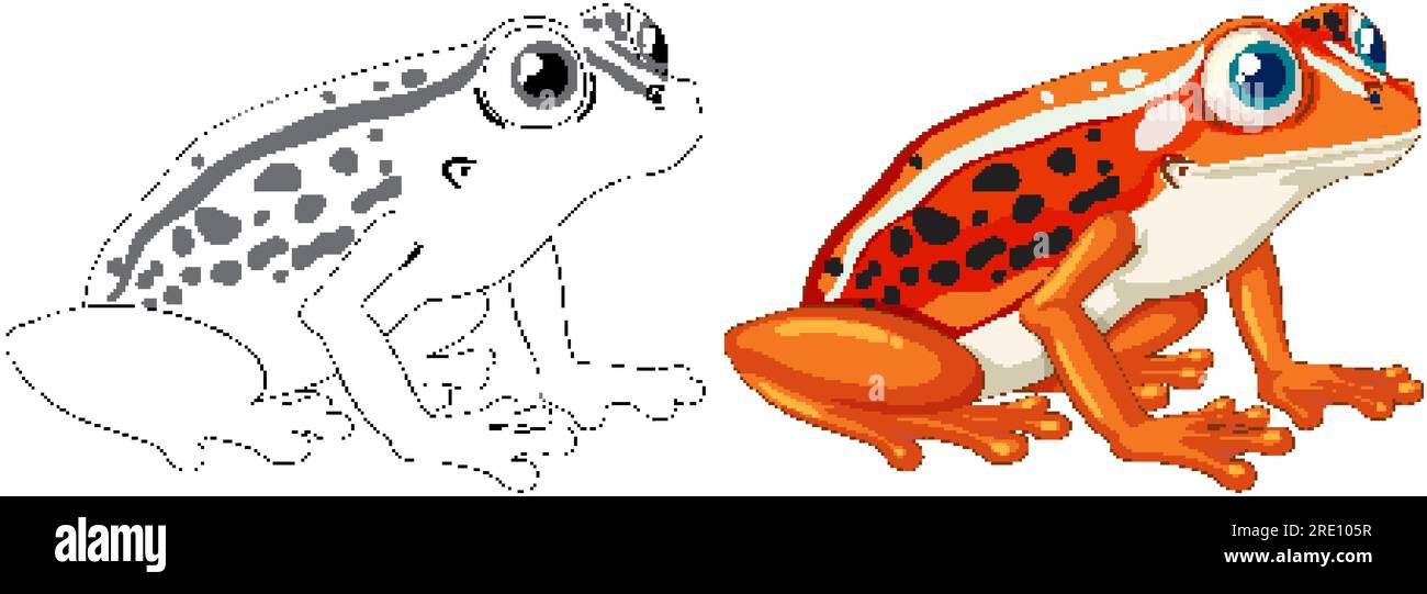An isolated vector illustration of an orange frog for coloring pages stock vector image art