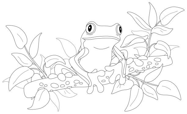 Frog coloring pages clip art stock illustrations royalty
