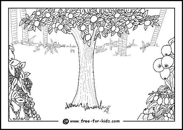 Tree of life coloring pages colouring pages coloring pages inspirational