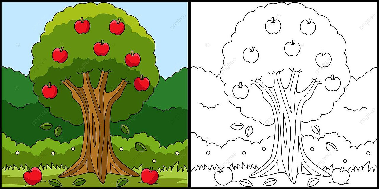 Apple tree coloring page colored illustration drawing colouring coloring page vector tree drawing apple drawing wing drawing png and vector with transparent background for free download