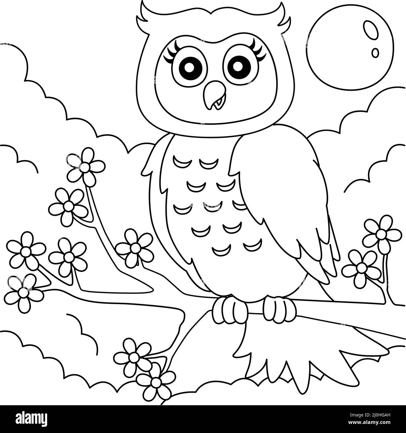 Owl on tree branch black and white stock photos images