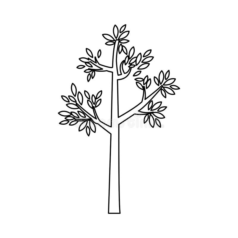 Tree trunk outline stock illustrations â tree trunk outline stock illustrations vectors clipart