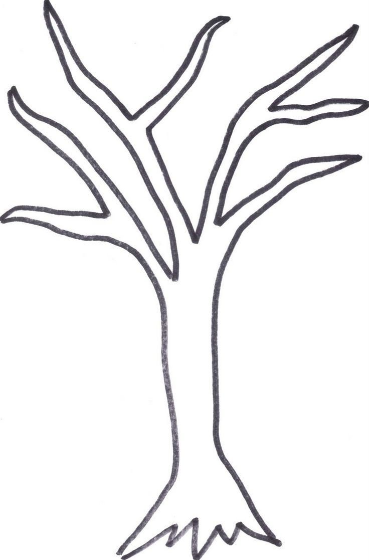 Leafless tree outline