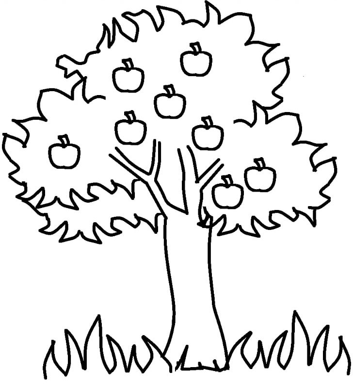 Coloring book tree child trunk adult png clipart adult black branch child color free png download