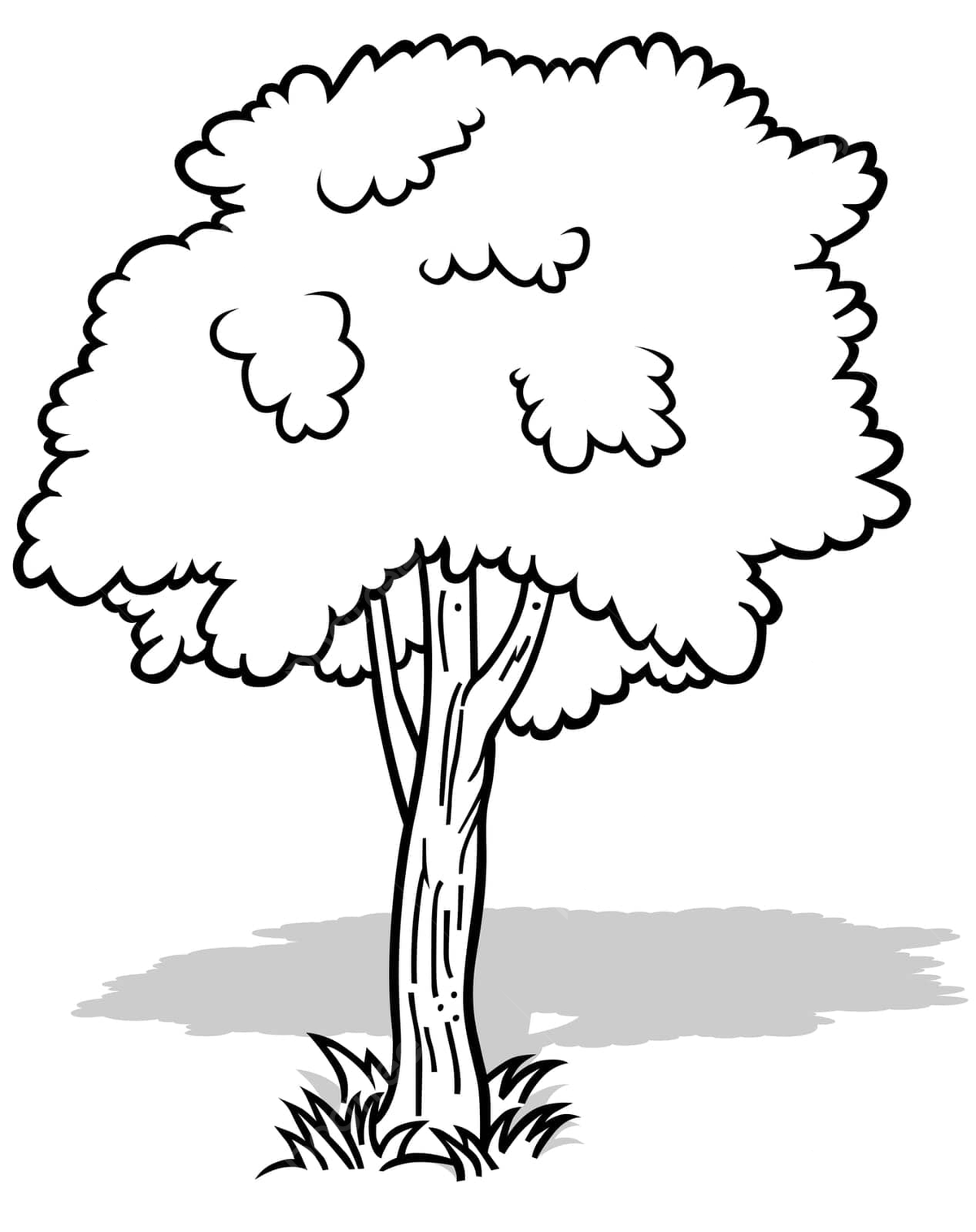 Tree trunk coloring book png transparent images free download vector files