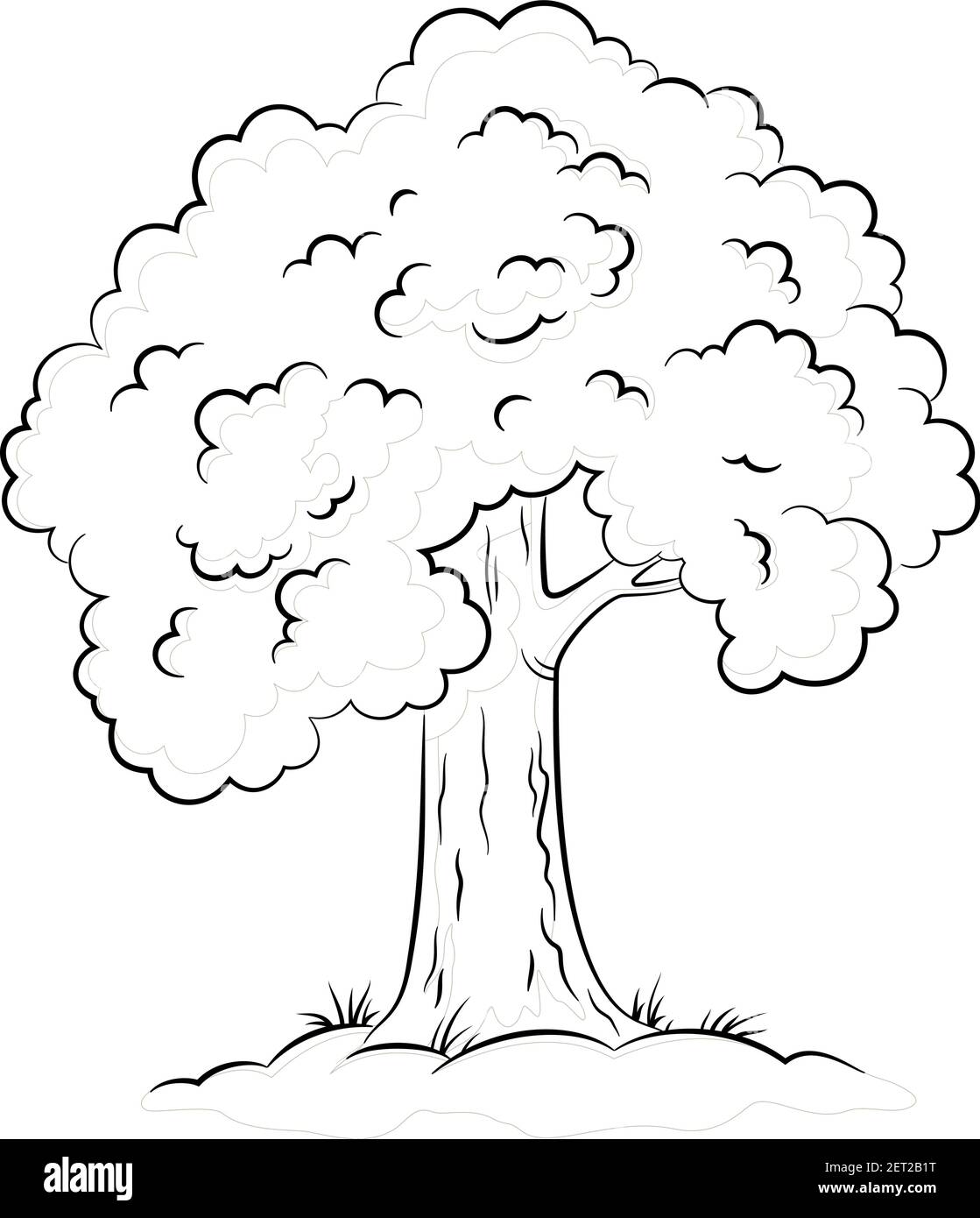 Oak tree trunk grass cut out stock images pictures