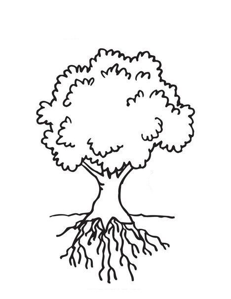 Our very own tree tactile graphics and slide presentations â school for the blind