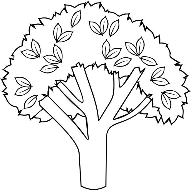 Tree trunk coloring page stock illustrations royalty