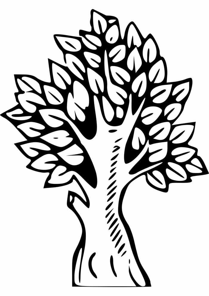 Tree coloring pages free personalizable coloring pages