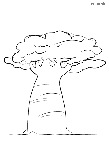 Trees coloring pages free printable tree coloring sheets