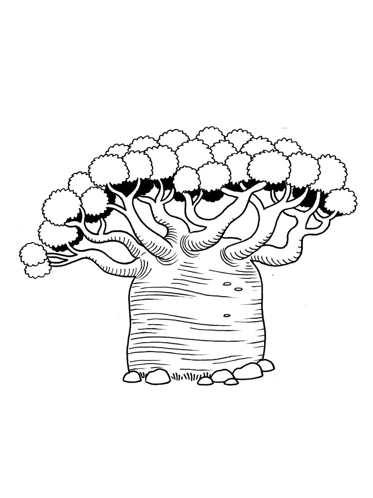 Drawing of a tropical tree with a wide trunk coloring page
