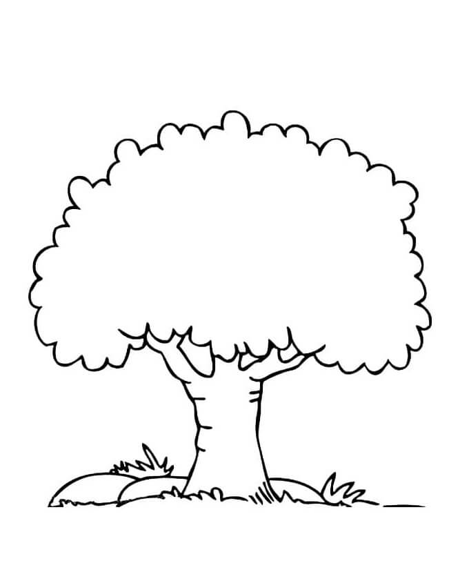 Tree with a thick trunk coloring page