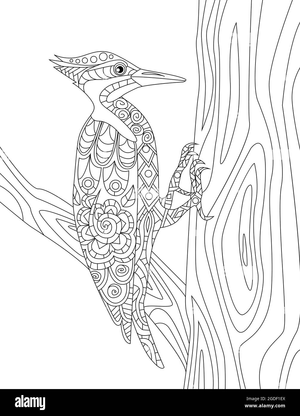 Woodpecker on a tree trunk trying to make a hole colorless line drawing pecker bird stays on branch pecks wood coloring book page stock vector image art