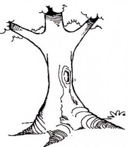 Tree coloring page crafts and worksheets for preschooltoddler and kindergarten