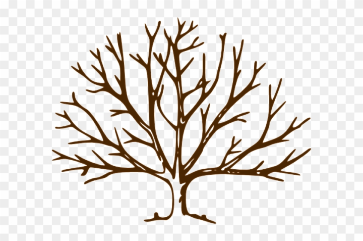 Free bare tree coloring page