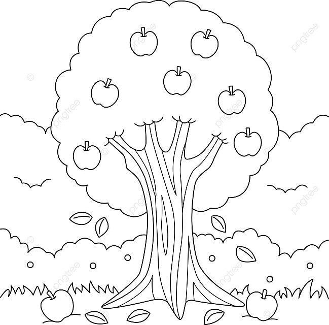 Apple tree coloring page for kids graphic apple trunk vector tree drawing apple drawing ring drawing png and vector with transparent background for free download