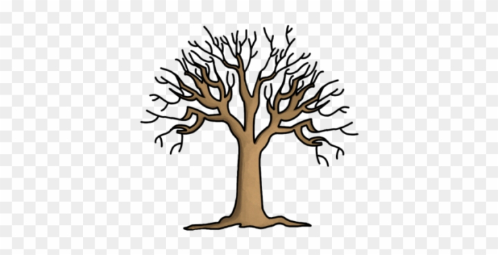 Free printable tree without leaves coloring page download