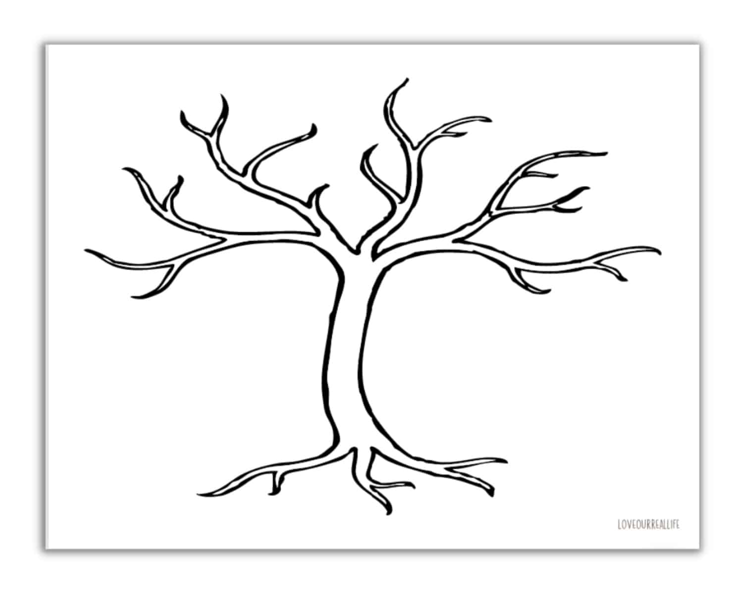 Free printable trees without leaves template