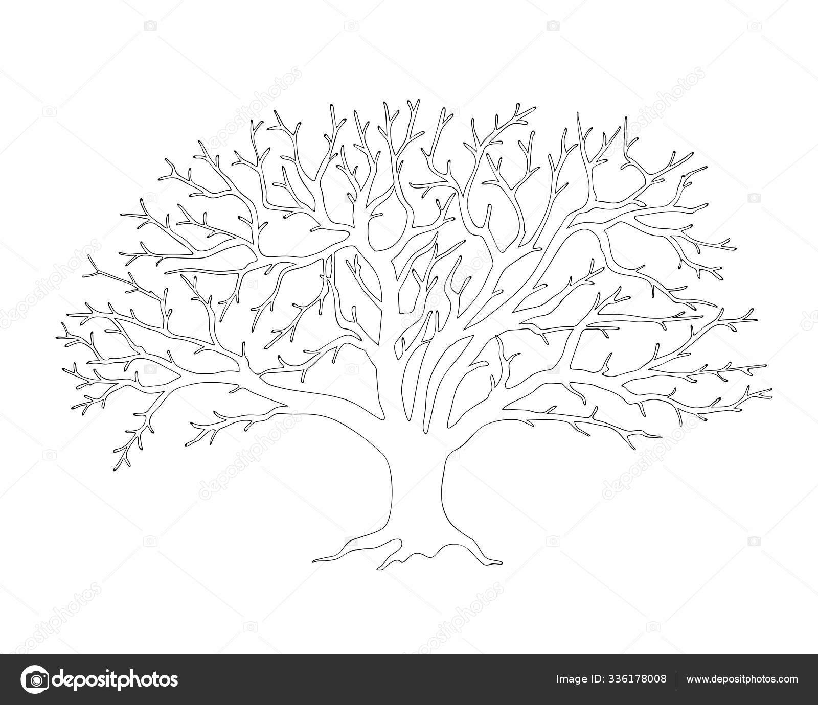 Apple tree without leaves black outline stock vector by sliplee