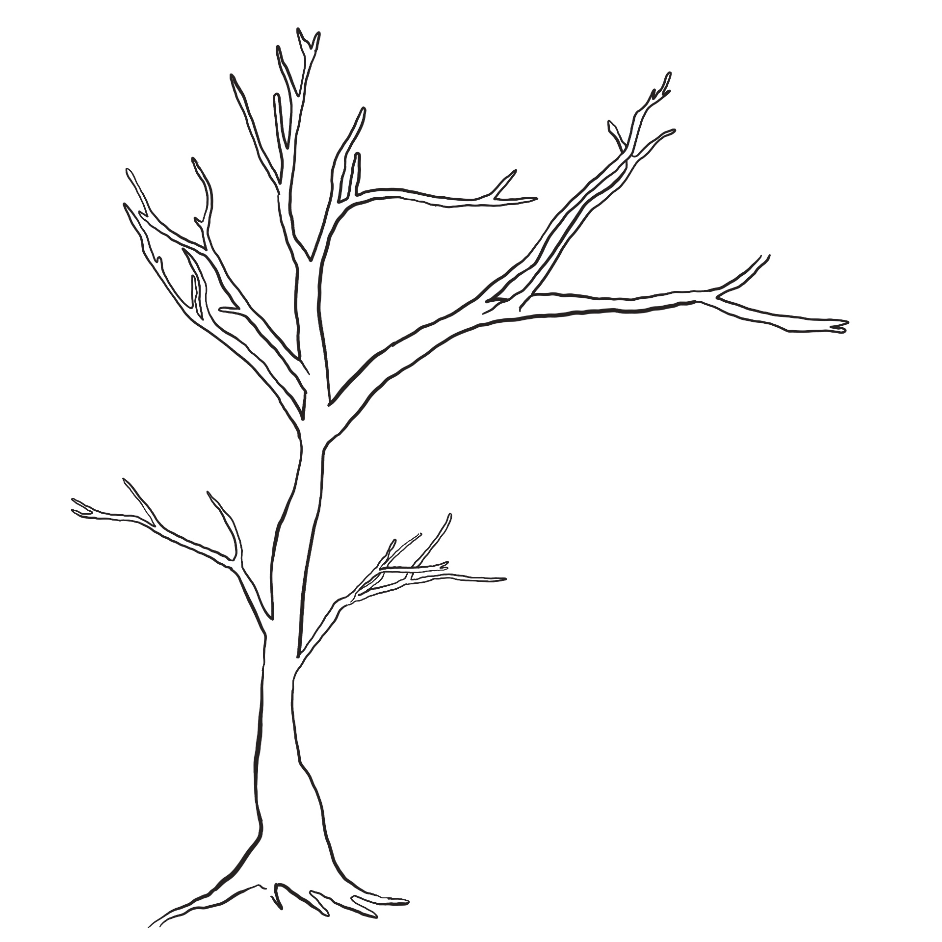 Best free printable tree without leaves pdf for free at
