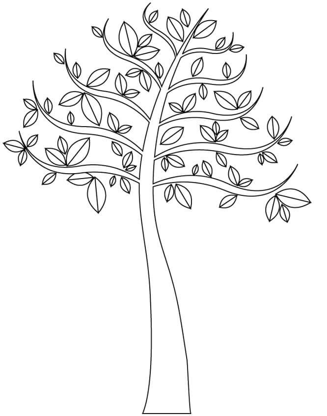 The young tree spread its leaves coloring page