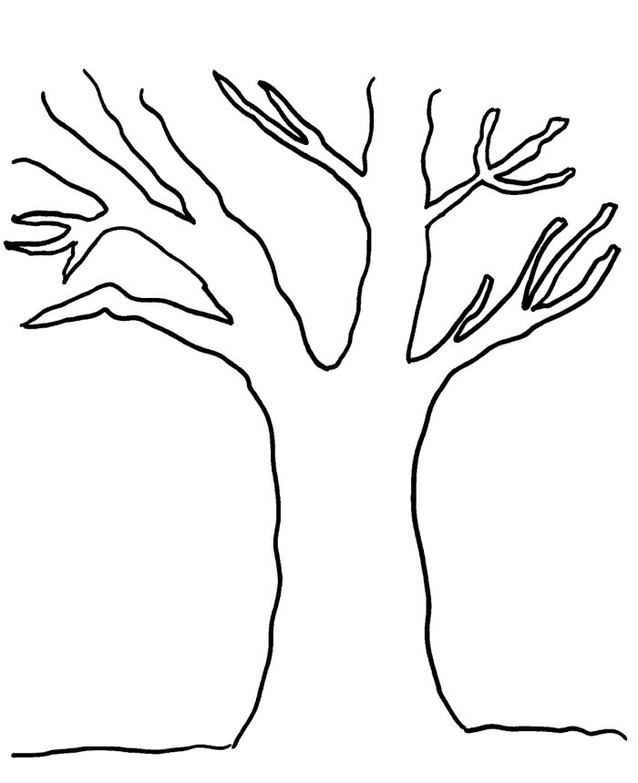 Printable tree template no leaves