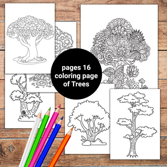 Tree colouring page i printable tree digital colouring page instant download i tree coloring page set