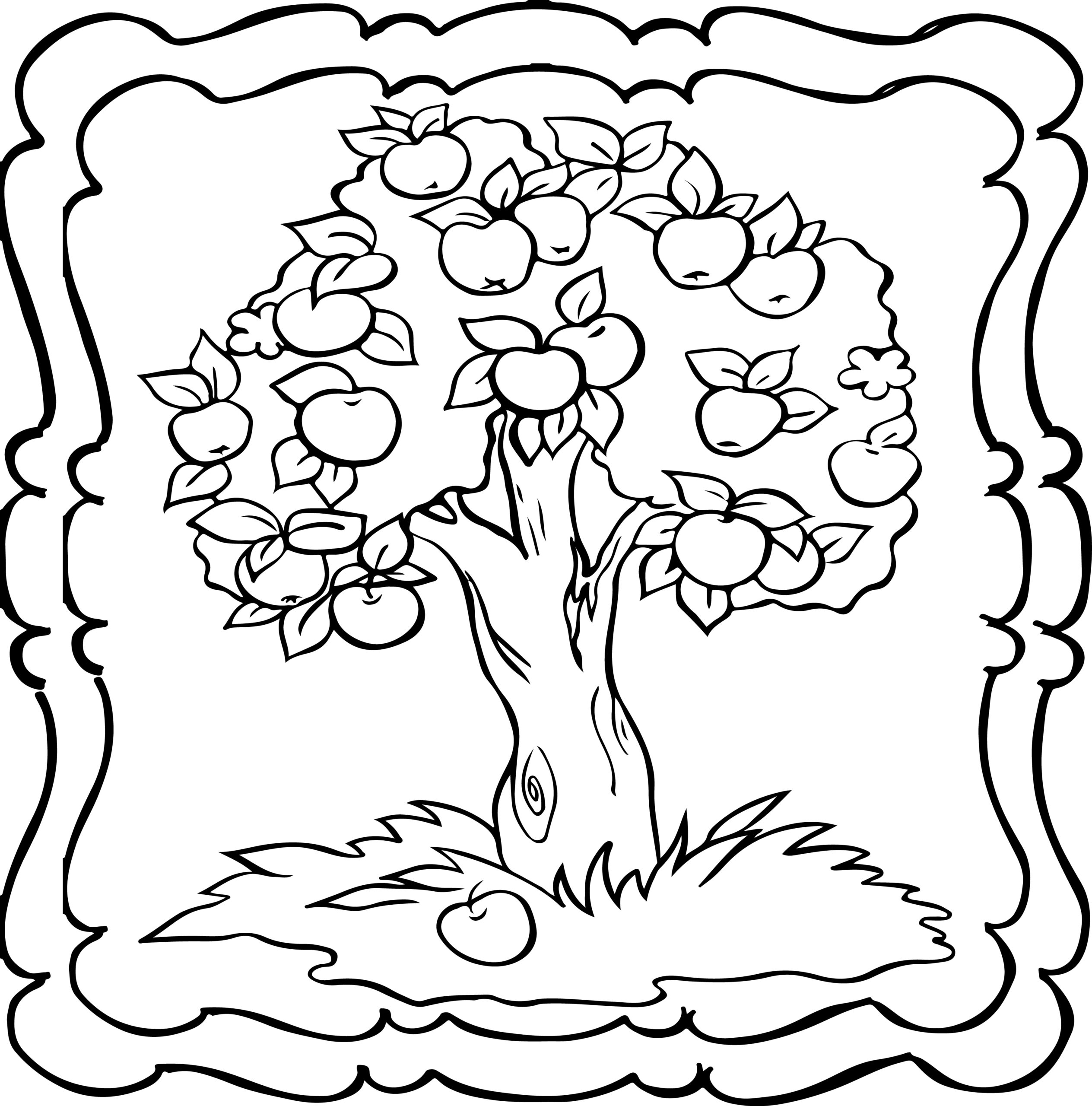 Tree coloring book easy and fun trees coloring book for kids made by teachers