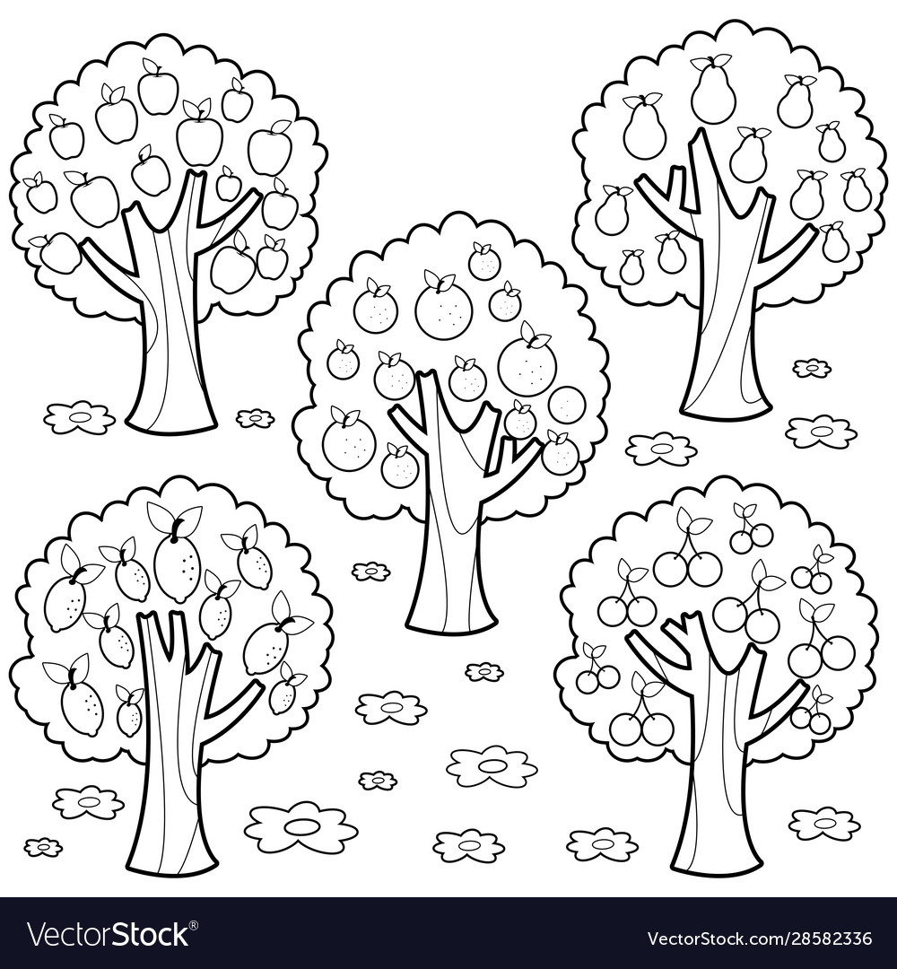 Fruit trees black and white coloring page vector image