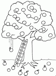 Trees