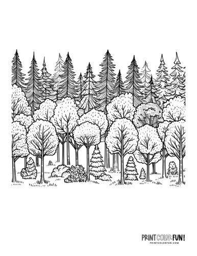 Forest scene coloring pages mountains and trees at