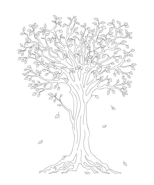 Tree coloring page stock photos pictures royalty