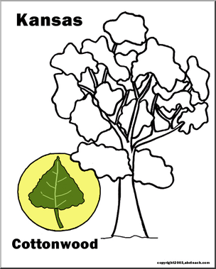 Kansas state tree