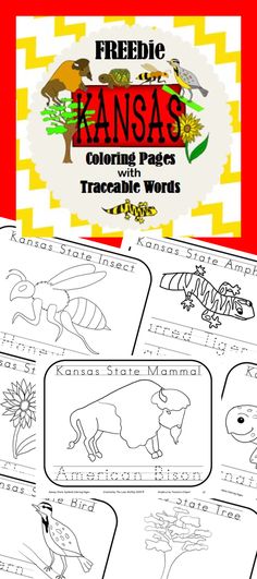 Kansas coloring pages ideas coloring pages kansas day flag coloring pages