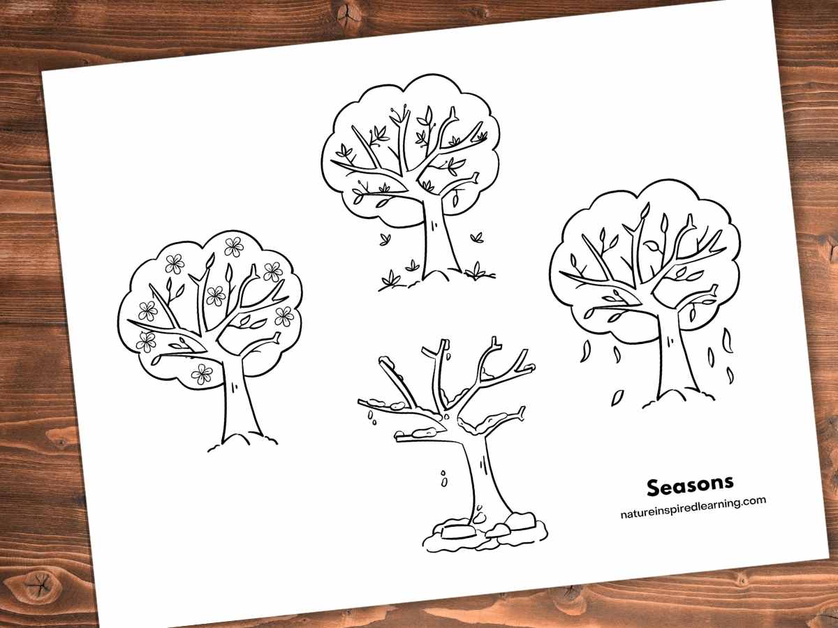 Tree coloring pages