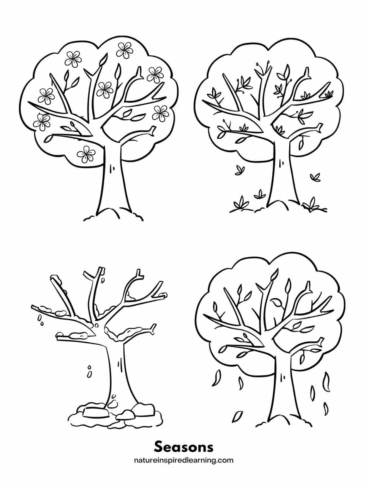 Tree coloring pages tree coloring page coloring pages homeschool elementary