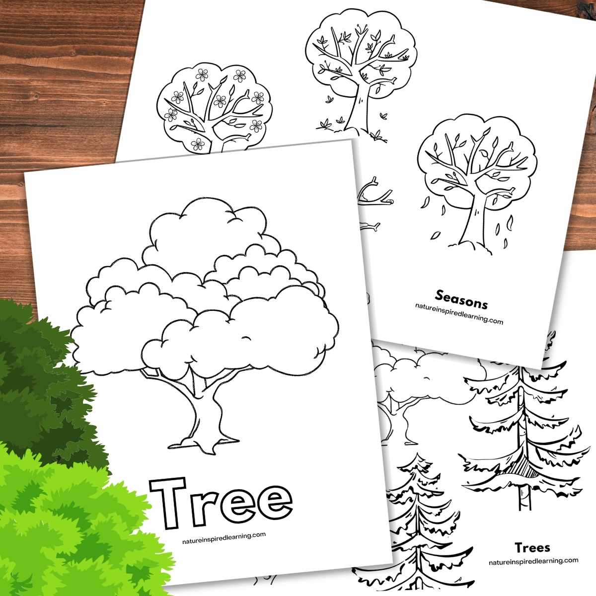 Tree coloring pages