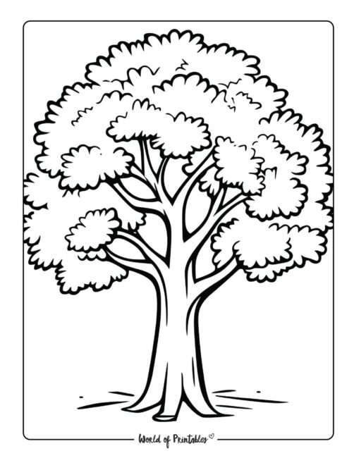Tree coloring pages