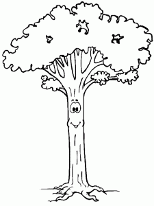 Trees
