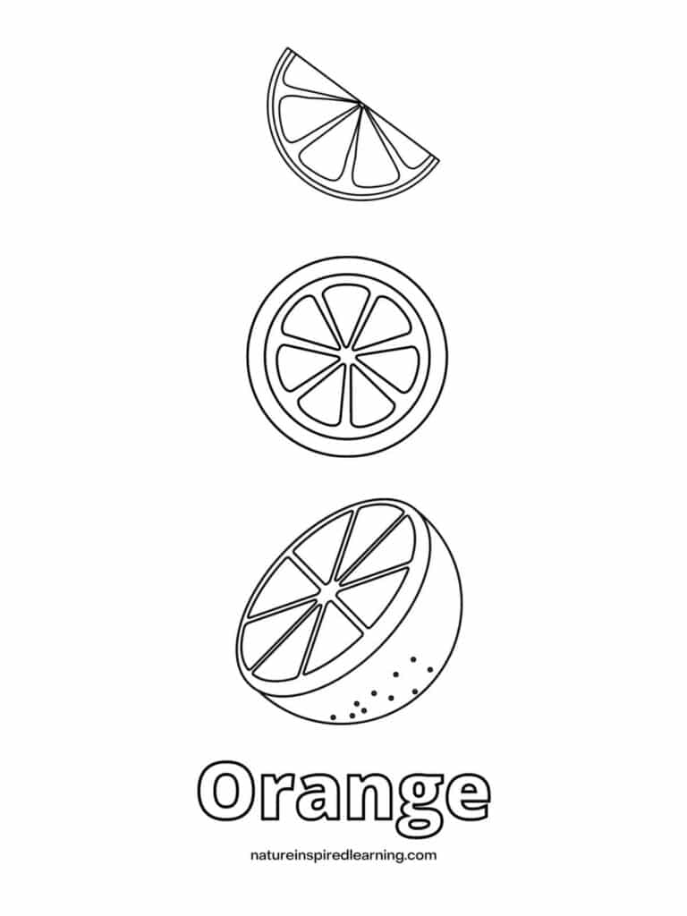 Orange coloring pages and templates