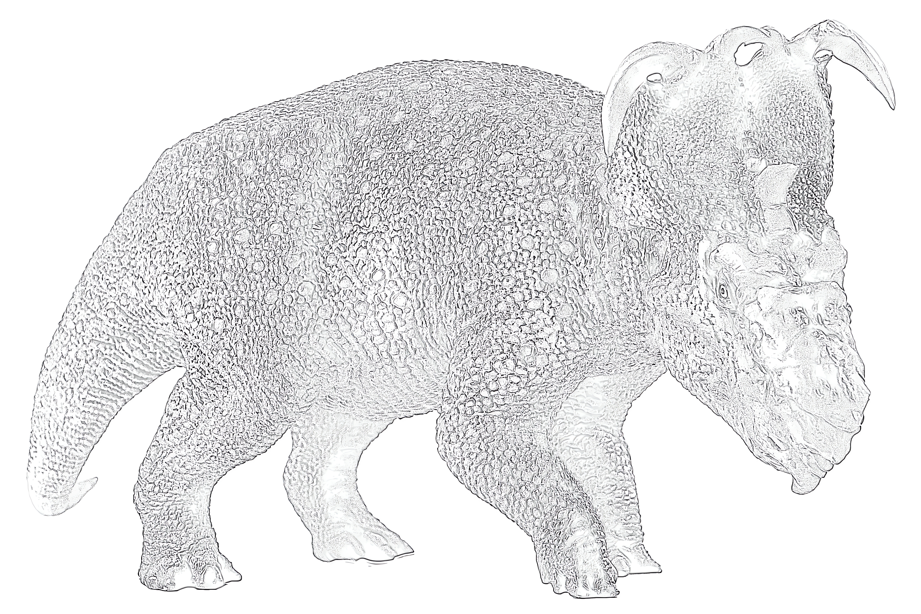Printable pachyrhinosaurus coloring page