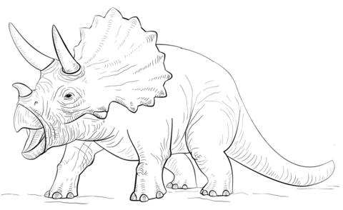 Triceratop dinosaur coloring page dinosaur coloring pages dinosaur coloring dinosaur drawing