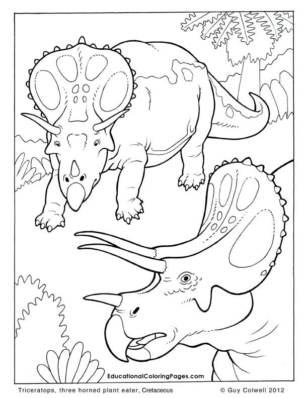 Triceratops dinosr coloring pages coloring pages animal coloring pages