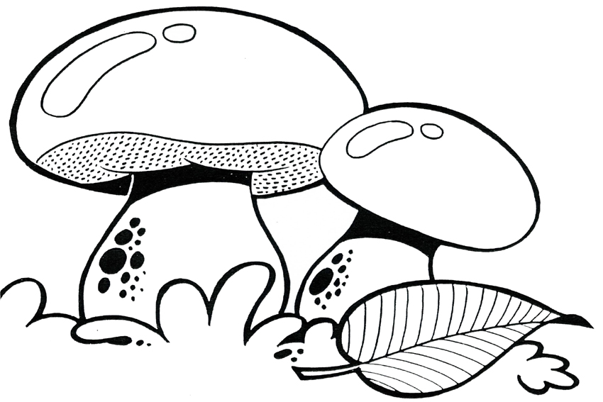 Coloring pages mushroom coloring pages