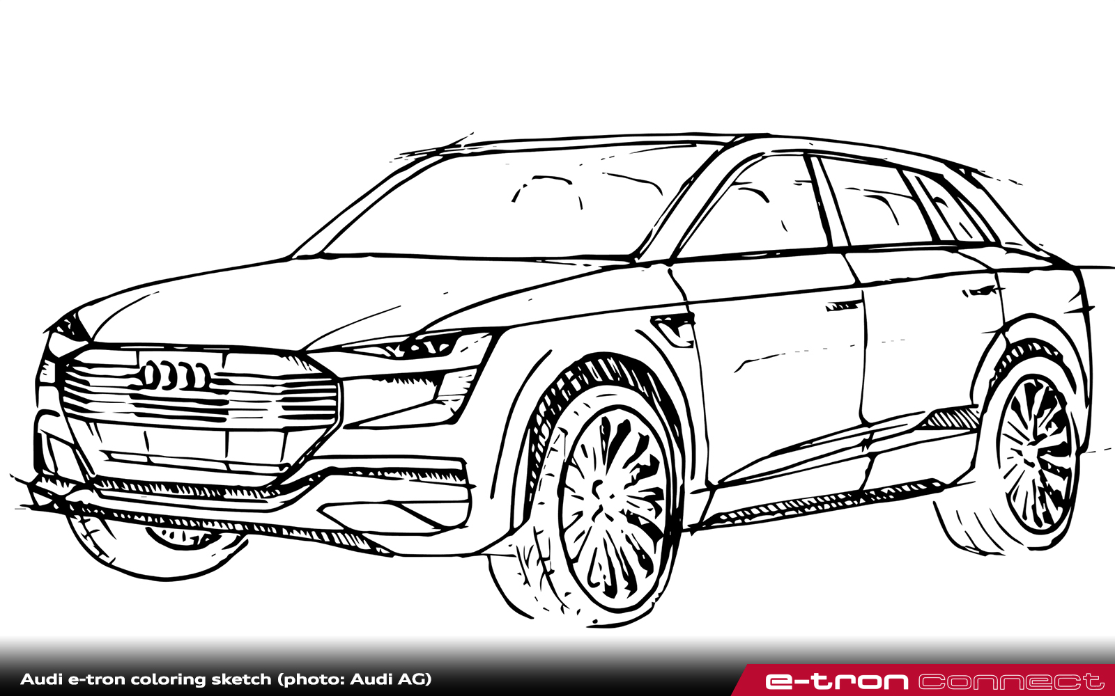 The audi e